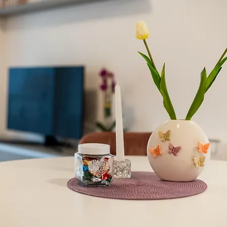 Appartement Manuelle *